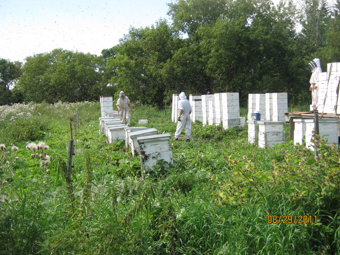 2011 — Early Days photo 2